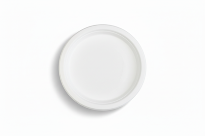 Plate top-down view - bright white